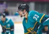 Форвард, проходивший просмотр в минском «Динамо», покинул «Сочи»