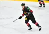 Никита Анохин: Во втором матче получилась игра спецбригад